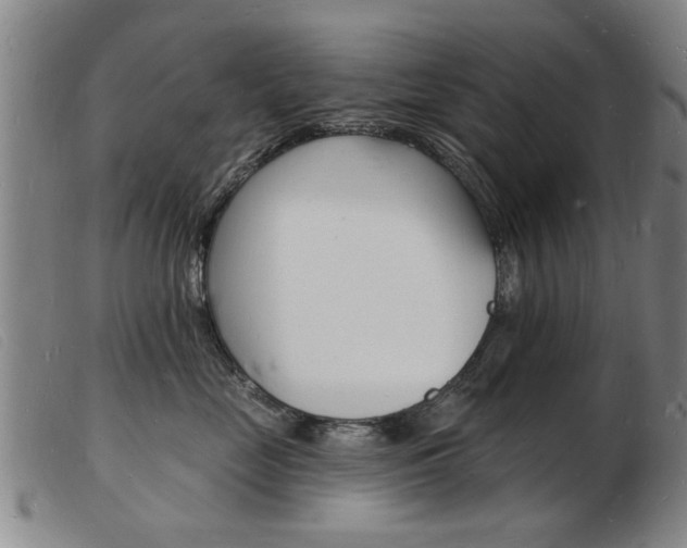 X0000103970669200809191400