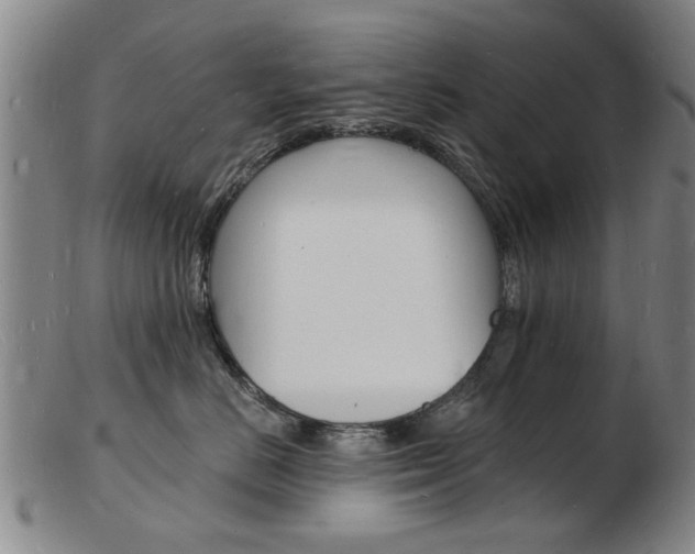 X0000103970670200809191400