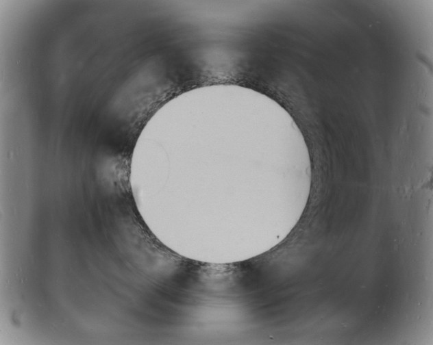 X0000103970672200809191400