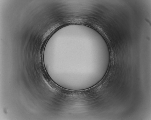 X0000103970674200809191359