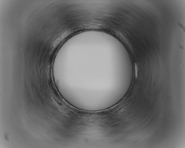 X0000103970675200809191359