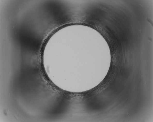 X0000103970676200809191359
