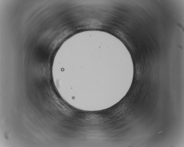 X0000103970677200809191359
