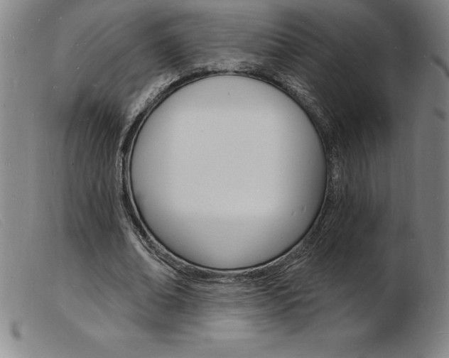X0000103970678200809191359