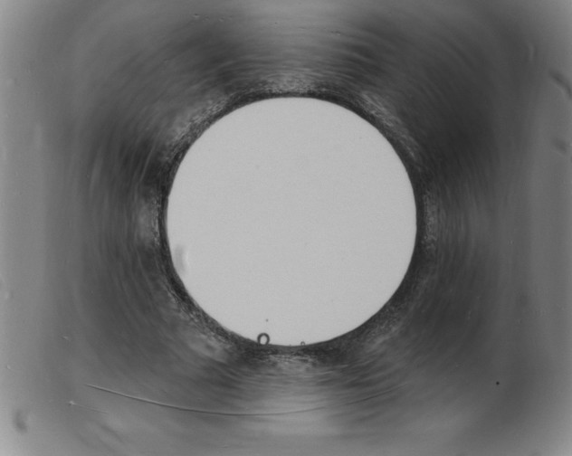 X0000103970681200809191359