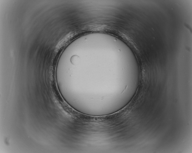 X0000103970682200809191359