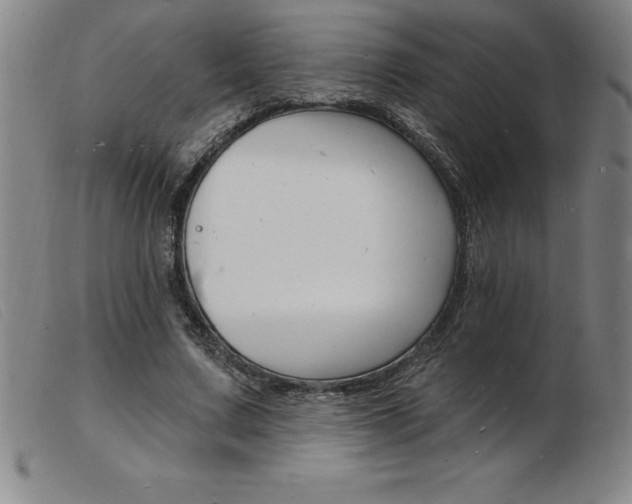 X0000103970683200809191359
