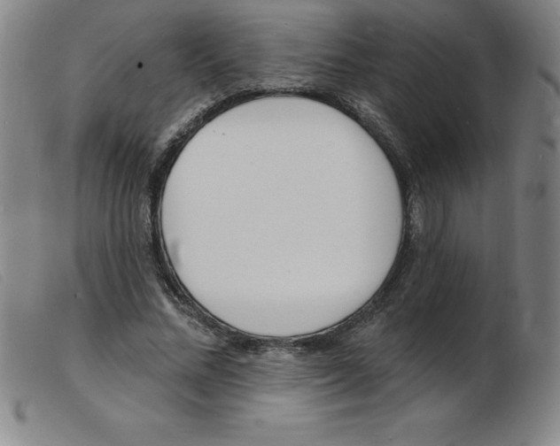 X0000103970684200809191359