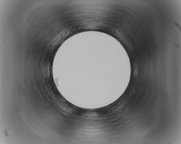 X0000103970685200809191359