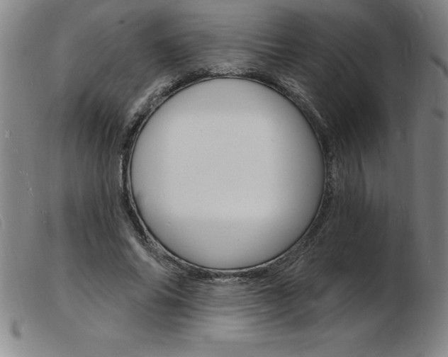 X0000103970686200809191359