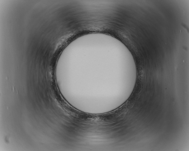 X0000103970688200809191359