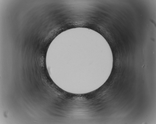 X0000103970689200809191359
