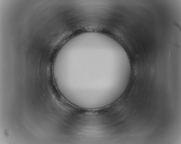 X0000103970690200809191359