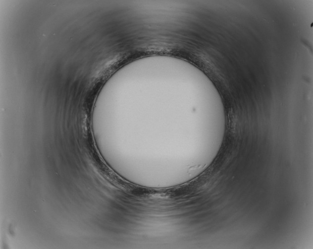 X0000103970692200809191359
