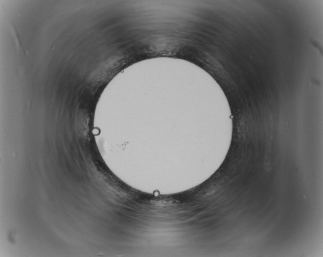 X0000103970693200809191359