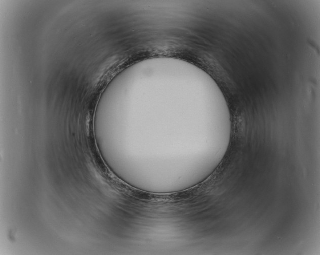 X0000103970694200809191359