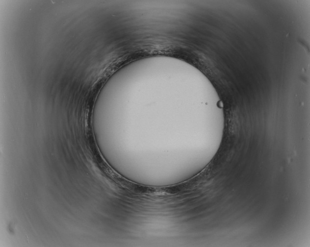 X0000103970695200809191359
