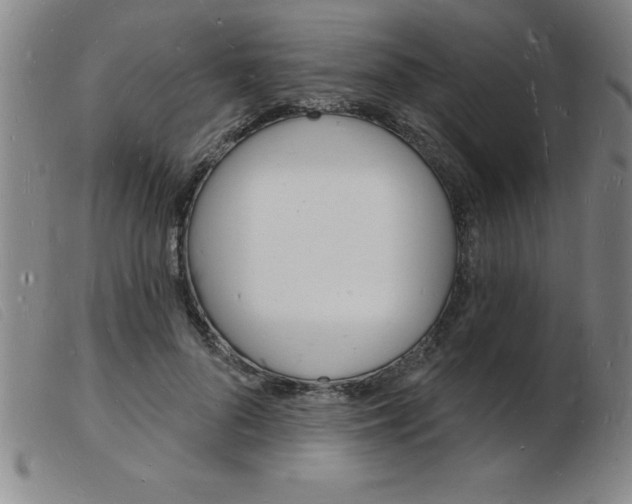 X0000103970696200809191359