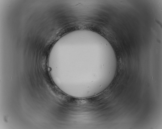 X0000103970698200809191359