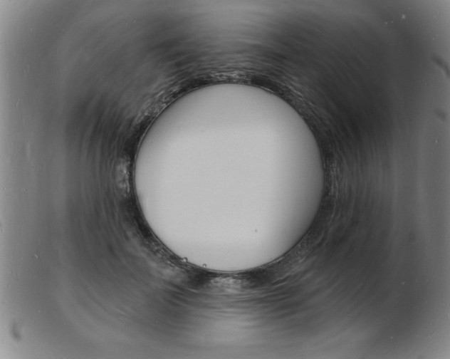 X0000103970699200809191359