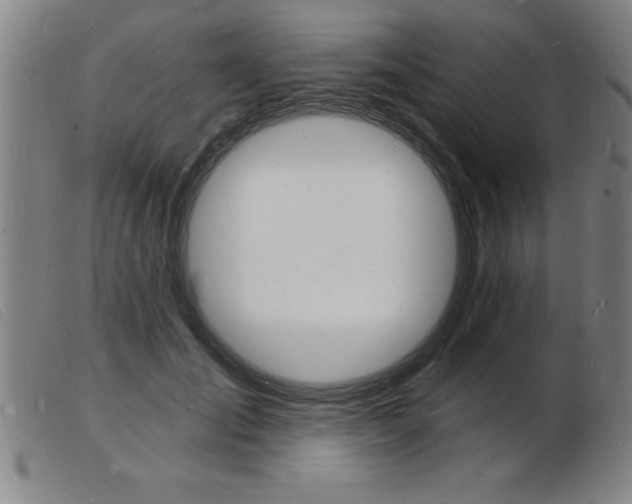 X0000103970701200809191359