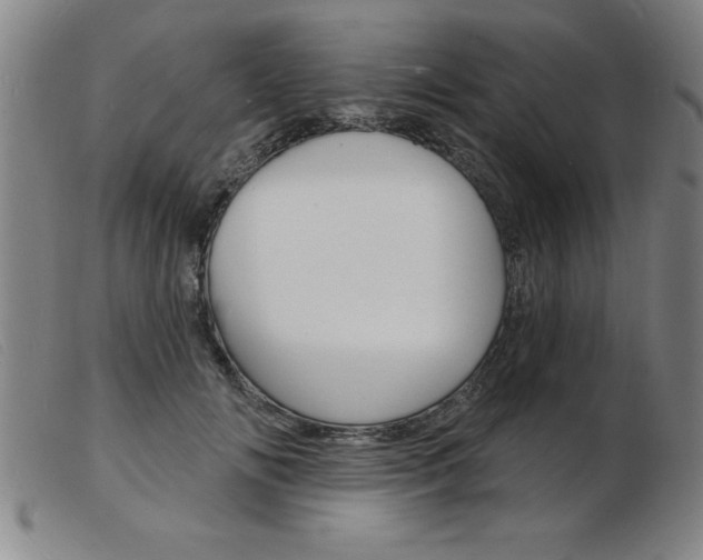X0000103970702200809191359