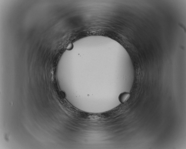 X0000103970703200809191359