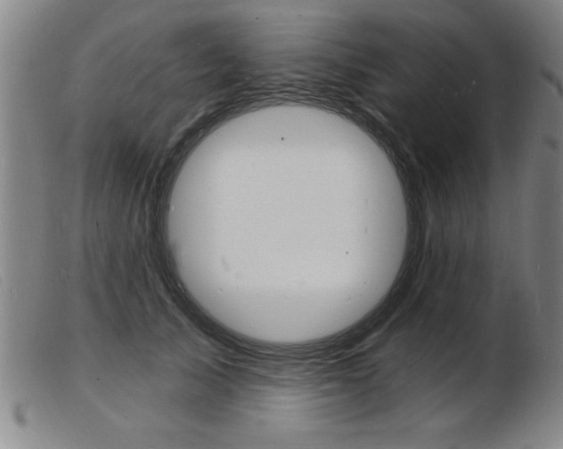 X0000103970705200809191359