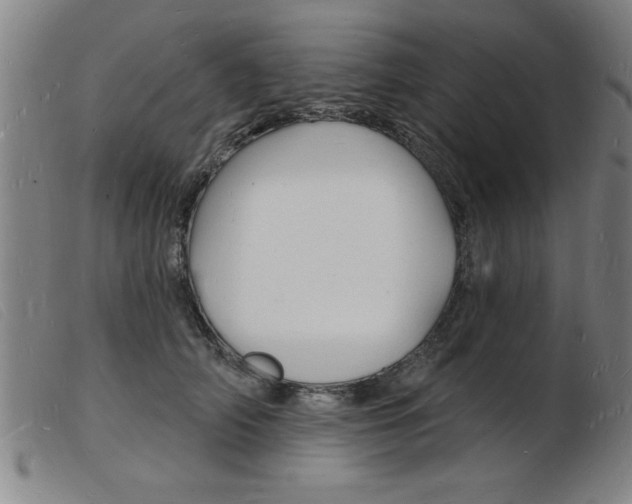 X0000103970706200809191359