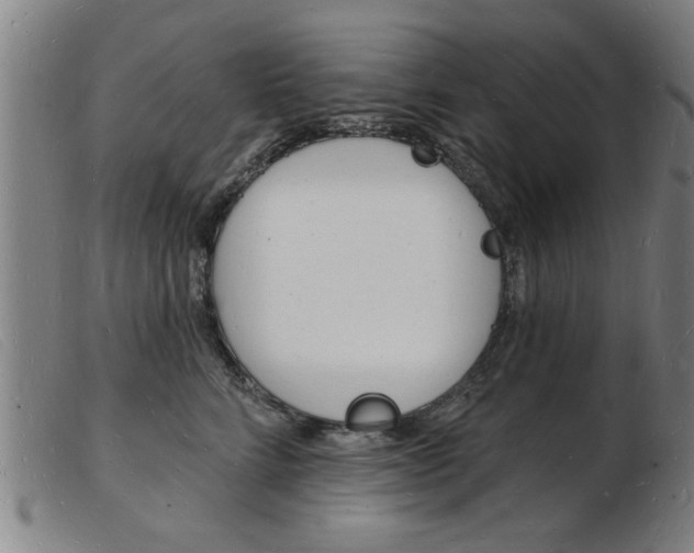 X0000103970712200809191358