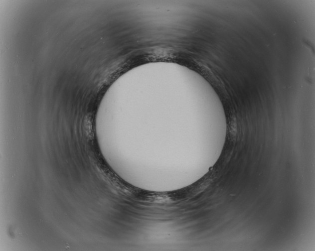 X0000103970715200809191358