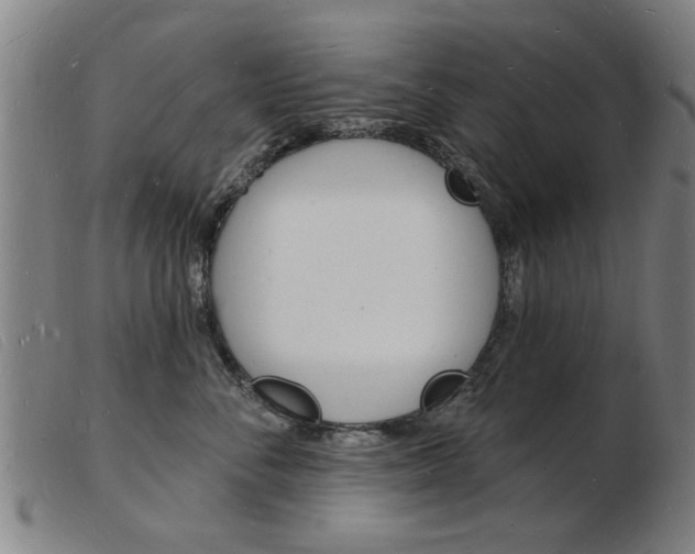 X0000103970716200809191358