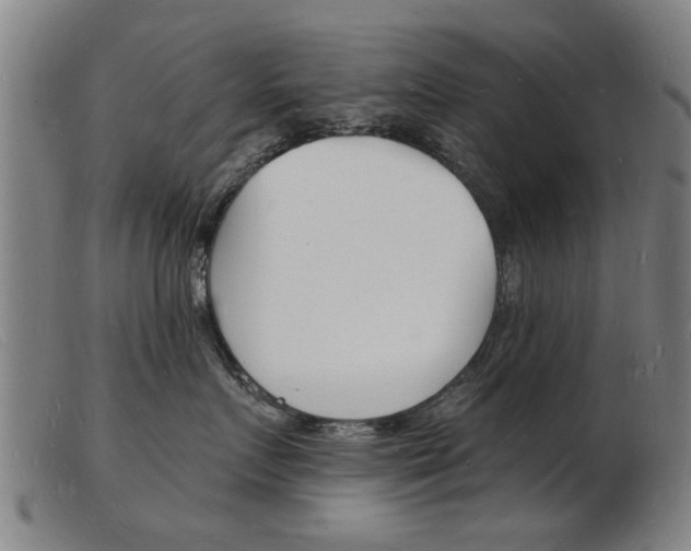 X0000103970719200809191358