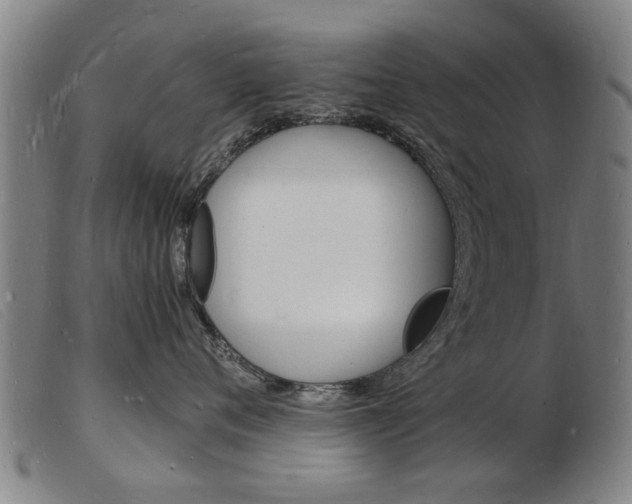 X0000103970720200809191358