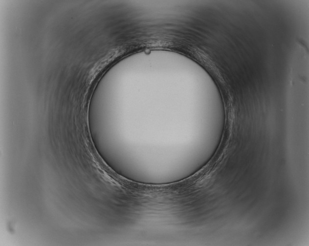 X0000103970721200809191358