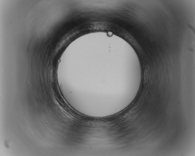 X0000103970722200809191358