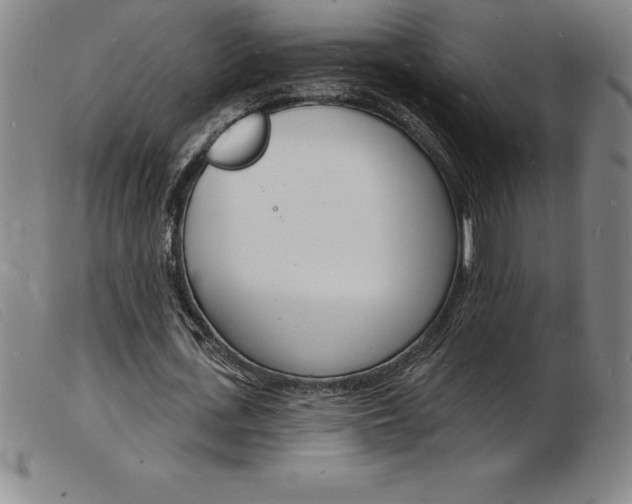 X0000103970723200809191358