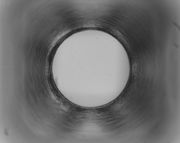 X0000103970724200809191358