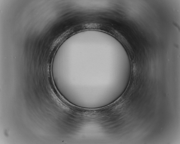 X0000103970725200809191358