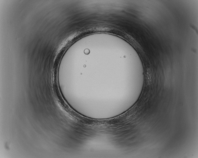 X0000103970726200809191358