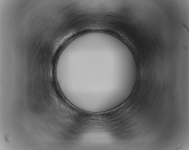 X0000103970727200809191358