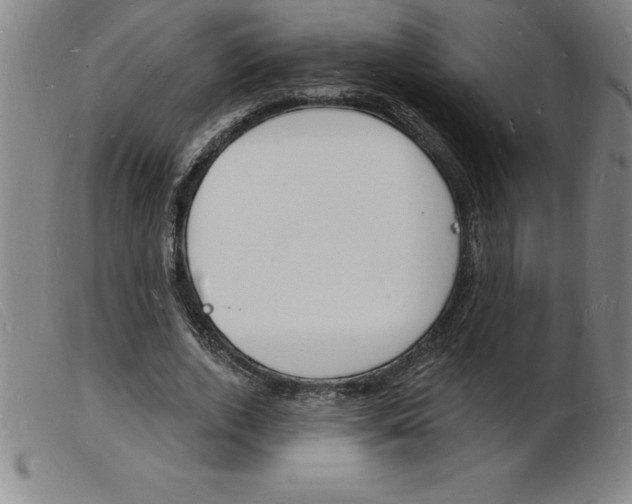 X0000103970728200809191358