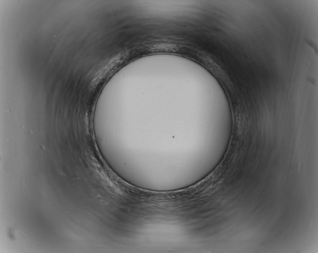X0000103970729200809191358