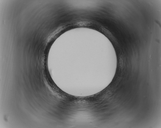 X0000103970730200809191358