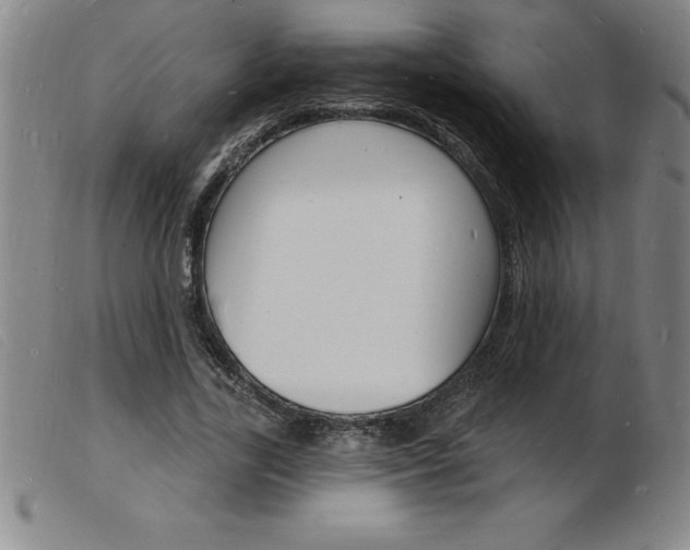 X0000103970731200809191358