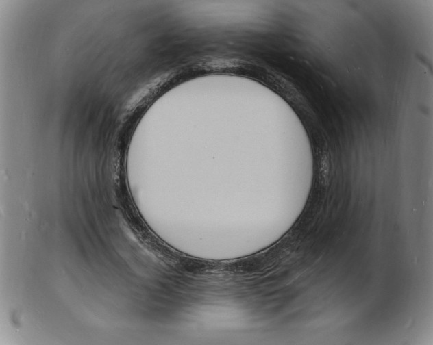 X0000103970732200809191358