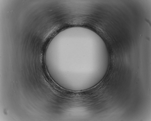 X0000103970735200809191358
