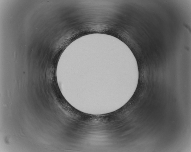 X0000103970736200809191358