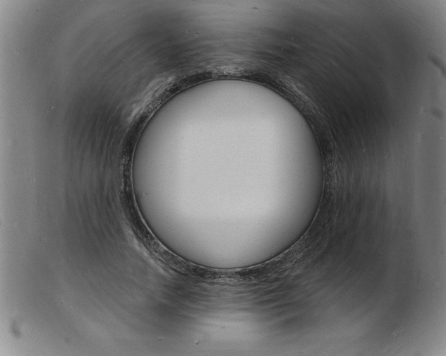 X0000103970738200809191358