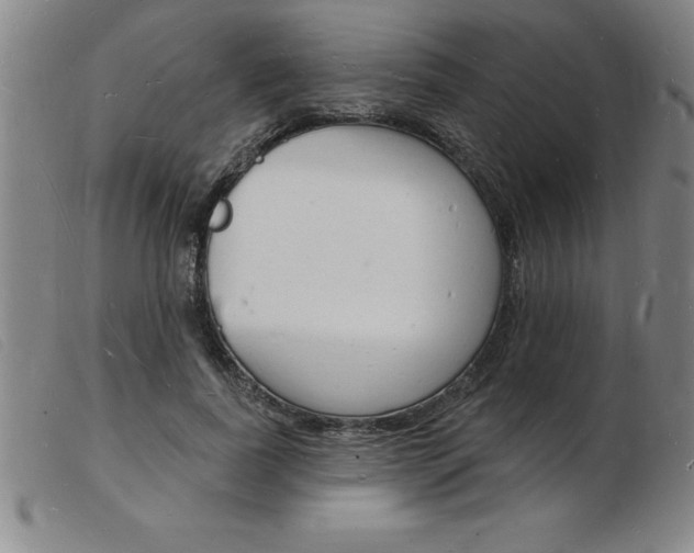 X0000103970739200809191358